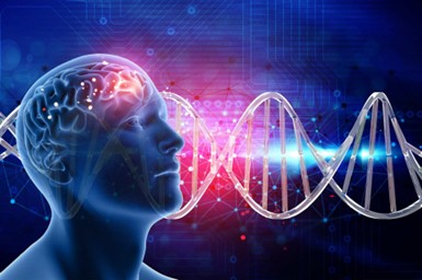 Neuropsicologia